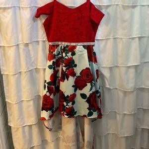 RARE EDITIONS LIMITED EDITION DRESS